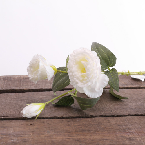 White Lisianthus Spray White Lisianthus Spray