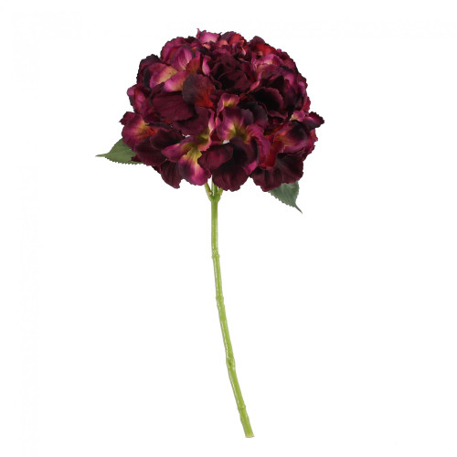 Dark Purple Short Stem Hydrangea 