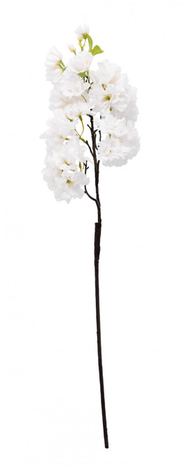 White Single Apple Blossom White Single Apple Blossom