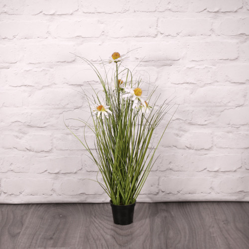 Wild Flower Plant Potted 60cm Wild Flower Plant Potted 60cm