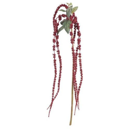 Burgundy Amaranthus 26inch Burgundy Amaranthus 26inch