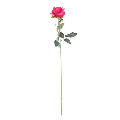 Arundel Rose Fuchsia Arundel Rose Fuchsia