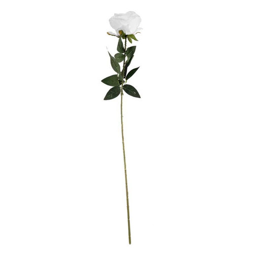 Arundel Rose White Arundel Rose White