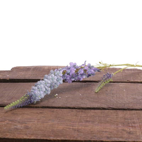 Veronica Spray Blue Veronica Spray Blue