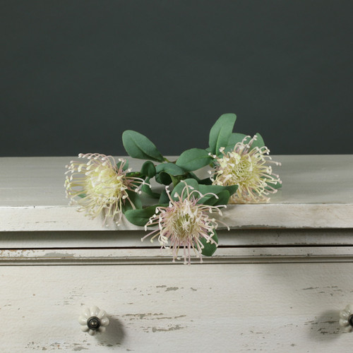 Tintagel Leucospermum Light Pink