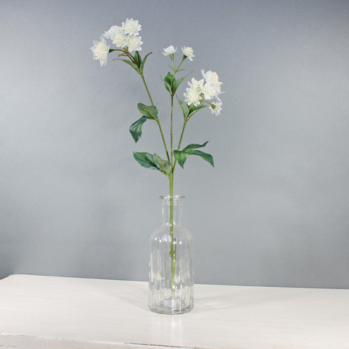 Astrantia W/14 Flowers White (50cm) Astrantia W/14 Flowers White (50cm)
