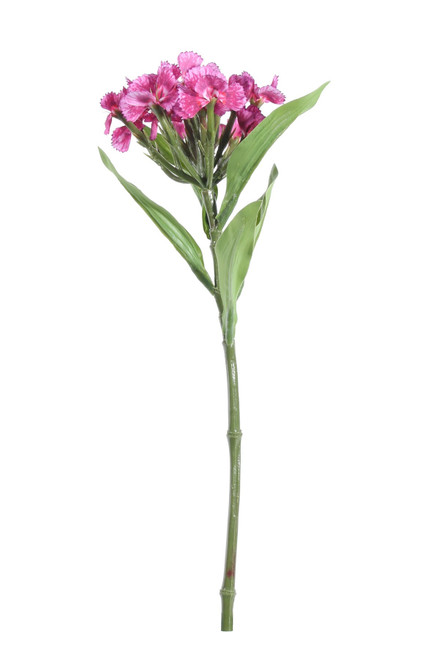 Pink Dianthus on a Short Stem (32cm)