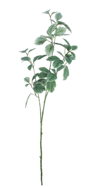 Dark Green Euonymus Leaves Spray (91cm)