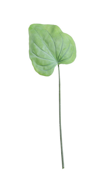 Large Hosta Leaf Green (56cm)