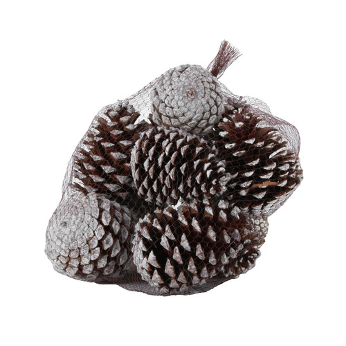 White Tipped Maritima Cones (x12) White Tipped Maritima Cones (x12)