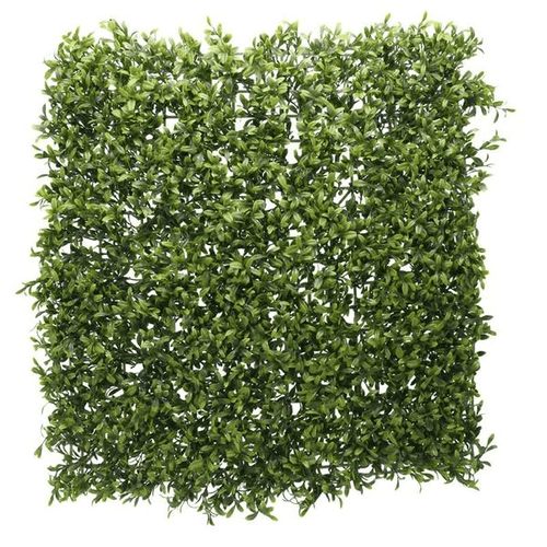 Green Plant Wall Bundle (2 x 3M) Green Plant Wall Bundle (2 x 3M)