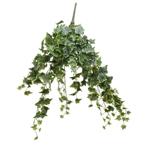 Frosted Vari Ivy Bush Vine (80cm) Frosted Vari Ivy Bush Vine (80cm)