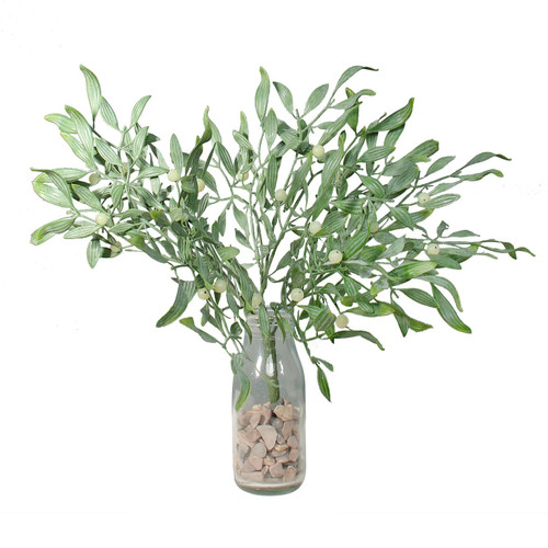 Exterior Mistletoe bush Exterior Mistletoe bush