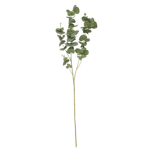 Balmoral Eucalyptus Green (93cm)