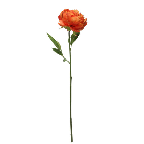 Glamis Single Peony Orange (62cm) Glamis Single Peony Orange (62cm)