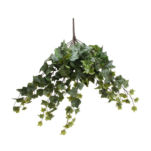 Frosted Ivy Bush (60cm) Frosted Ivy Bush (60cm)