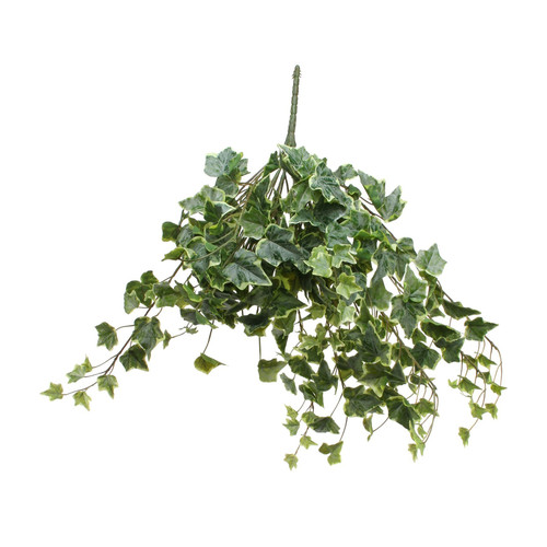 Frosted Vari Ivy Bush (60cm) Frosted Vari Ivy Bush (60cm)