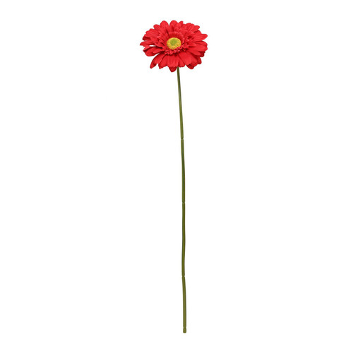 Red Gerbera Stem (72cm)