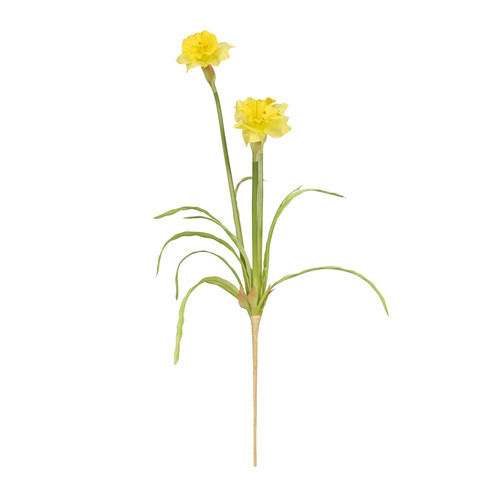 Monet Narcissus Yellow (58cm, 3 flowers)