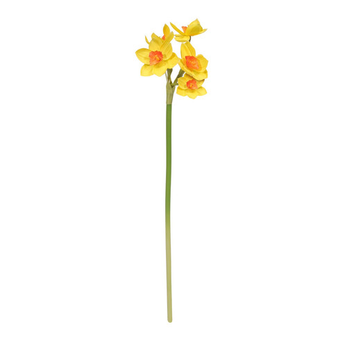 Monet mini Daffodil Yellow/Orange 34cm