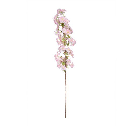 Essential Pink Apple Tree Blossom 