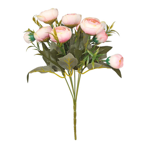 Essential Pink Ranunculus Bush Essential Pink Ranunculus Bush