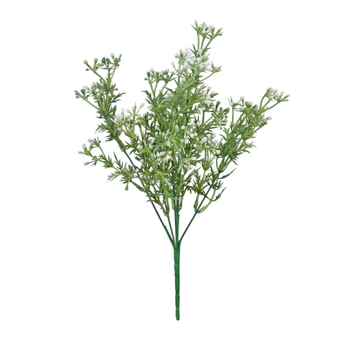 Essential White Heather Bud Bush Essential White Heather Bud Bush