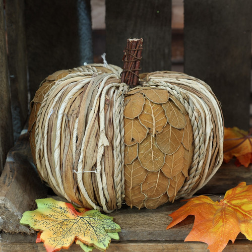 Pumpkin with Dried Leaves (18x18x15cm)