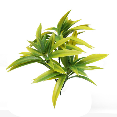 Yellow Tipped Yucca Trio (25cm) Yellow Tipped Yucca Trio (25cm)