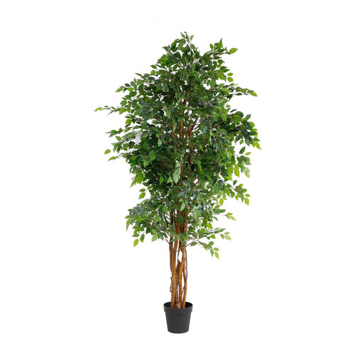 Artificial Ficus Multi Stem Tree (180cm) Artificial Ficus Multi Stem Tree (180cm)