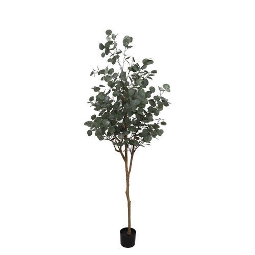 Artificial Eucalyptus Tree (185cm) Artificial Eucalyptus Tree (185cm)