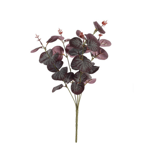 Essential Purple Eucalyptus Bush 