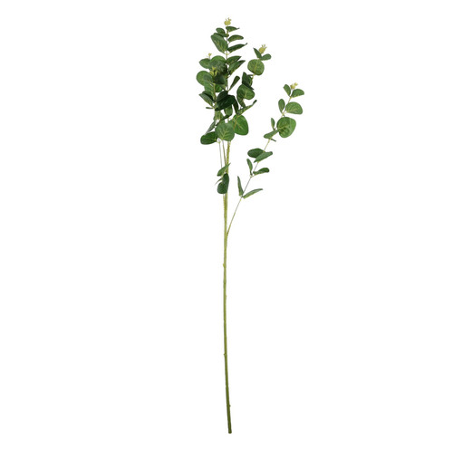 Green Eucalyptus Spray Green Eucalyptus Spray