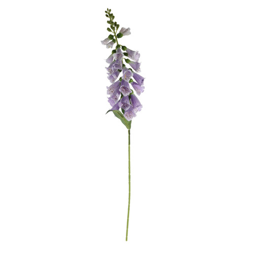 Essential Lilac Foxglove