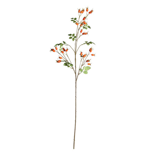 Botanica Rose Hip Spray (95cm) Botanica Rose Hip Spray (95cm)