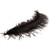 Black Ostrich Feathers (5 Pack)
