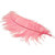Light Pink Ostrich Feathers (5 Pack)