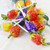 Fruity Pops (Pack of 25)