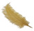 Gold Ostrich Feathers (5 Pack)