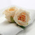 7cm Daffodil Georgia Foam Rose - Discontinued