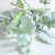Long Stem Dusty Miller Spray Long Stem Dusty Miller Spray