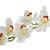 36inch Real Touch Large Cymbidium White