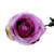 Small Camelot Open Rose Lavender