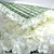 White Hydrangea Flower Wall Panel 40x60cm