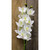 White Real Touch Cymbidium Spray 36 inch