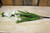 White Real Touch Cymbidium Spray 29 inch - Discontinued