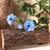 Light Blue Cottage Garden Cornflower Spray - Discontinued