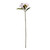 Ivory Frangipani Flower Stem - Discontinued