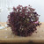 Gypsophila Bouquet Purple - Discontinued