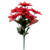 Red Poinsettia Bush (x7)